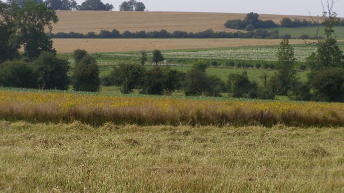 Terres agricoles
