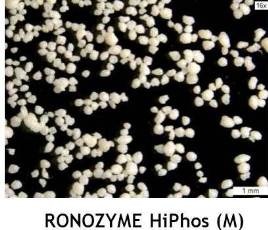 Ronozyme Hiphos (M)