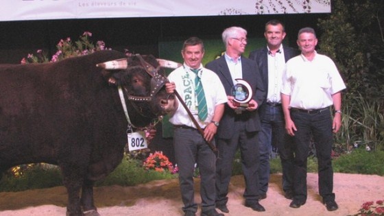 Colibri, champion salers Space 2013
