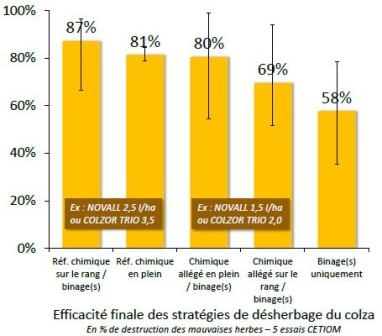 Niveau d'efficacité de différentes stratégies de désherbage du colza.