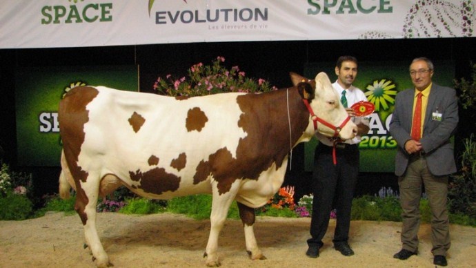 Eclipse, grande gagnante du concours Montbéliarde du Space 2013.