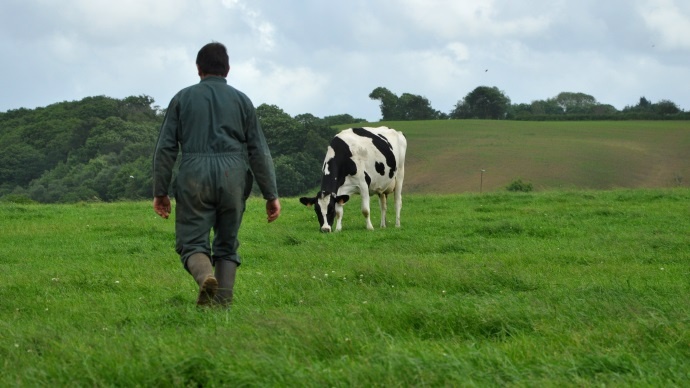 Les agriculteurs bénéficient d’un cadre de travail que beaucoup d’autres professions n’ont pas : un métier concret et sensé et passionnant, pas temps passé dans les transports pour se rendre au travail, une certaine « sécurité de l’emploi », pas de supérieur hiérarchique, ne pas être « enfermé dans un bureau »,…