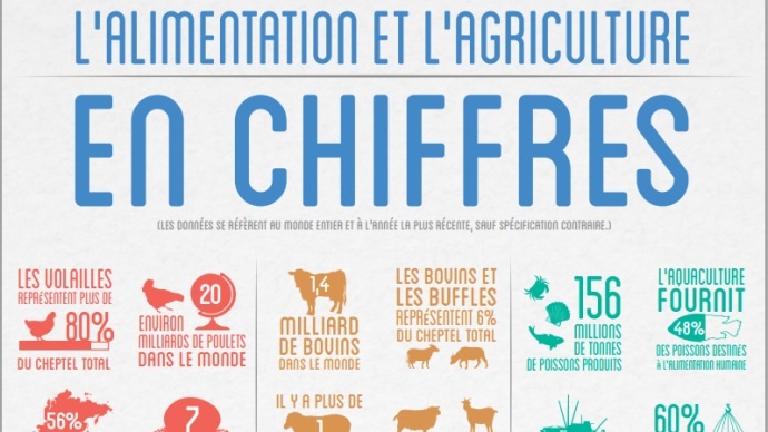 Les chiffres de l'agriculture et de l'alimentation en 2012