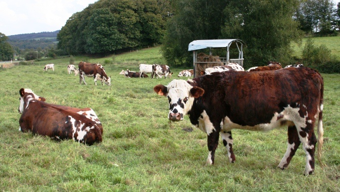 L'Inra a simulé pour 2019 l'impact du redéploiement des aides du premier et du second pilier par système d'exploitation.