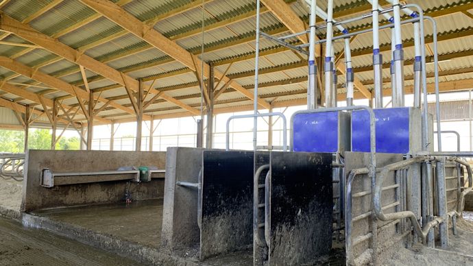 Rendre la vache actrice de son quotidien contribue à son bien-être. Avec les distributeurs automatiques d’aliments, elle décide quand elle le fréquente. Les quatre stalles de Dac du bâtiment répondent à cet objectif. Des plaques métalliques sur les côtés la protège d’attaques de ses congénères. Il est prévu d’ajouter une brosse rotative. A côté, le passage central large de 4,6 m leur laisse la place pour boire dans un des deux abreuvoirs de 2,30 m et se croiser. Les vaches ont accès à un total de 5 abreuvoirs pour 11,5 m, soit 10,45 cm par vache pour 110 vaches. Il faut au moins 10 cm.