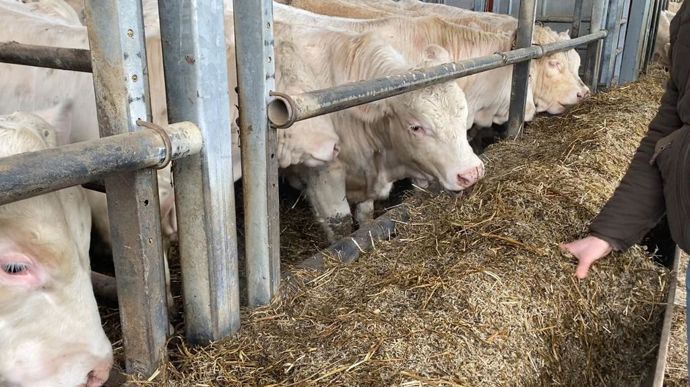 La mélangeuse permet d'obtenir une ration homogène.