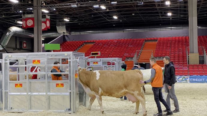  - Jolie monte ensuite sur la balance, passage obligatoire pour tous les bovins présents au Salon.