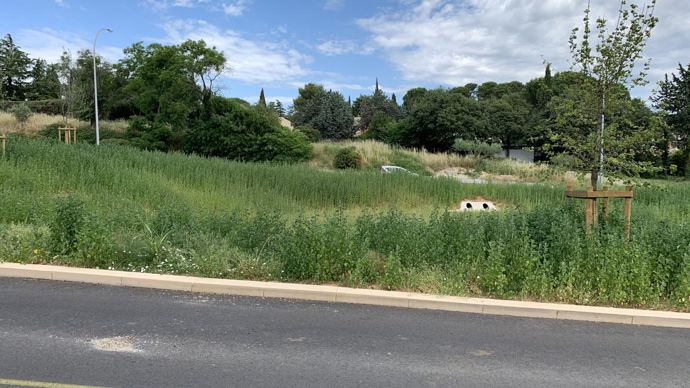 11.Les arbres plantés en hiver, les arbustes ce printemps, restent les engazonnements qui, pour leur part, devront être réalisés à l’automne, comme dans ce bassin de collecte des eaux d’orages, qui peuvent être violents à Nîmes. ©P. Fayolle