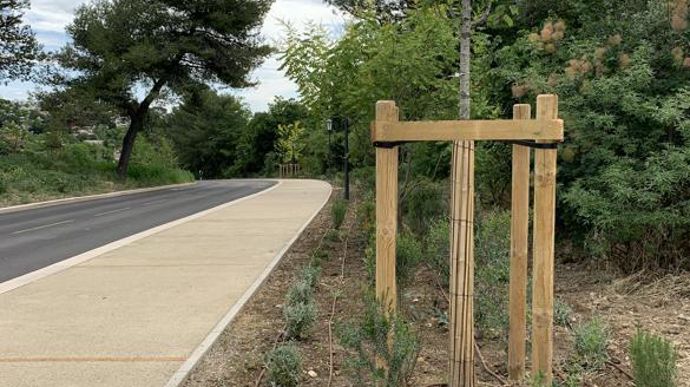 9.L’irrigation des arbustes est assurée en goutte-à-goutte. ©P. Fayolle