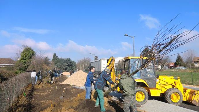 05. Réception des 8 arbres 20/25 en mottes, choisis et commandés par les élèves après consultation auprès de plusieurs pépinières.