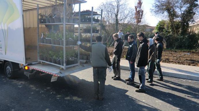 06. Réception des 150 arbustes, vivaces et graminées.