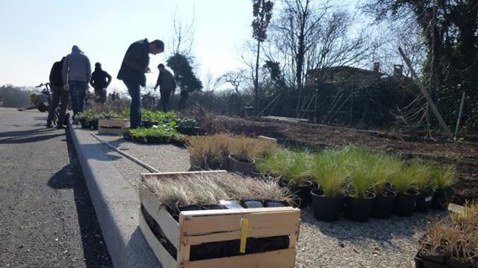 07. Répartition des végétaux.