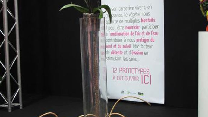 11. Nature anatomie organique Nao de Violaine Martin et Agathe Jouteau.