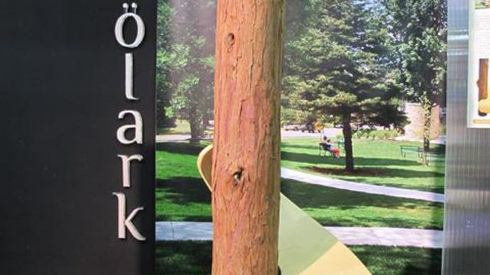 14. Chaise-feuille Stölark d'Alexia Bodereau et Drew Taylor.