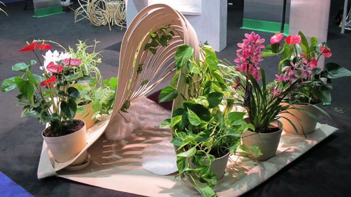 15. Jardin d'intérieur Vegetopia d'Amélie Alexandre et Sophie Goguet.