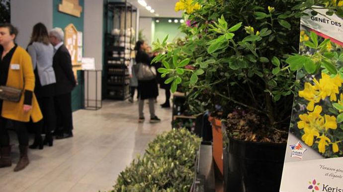©P.Fayolle Le magasin fait la part belle au végétal, avec la présence importante du made in France et du logo Fleurs de France. 
