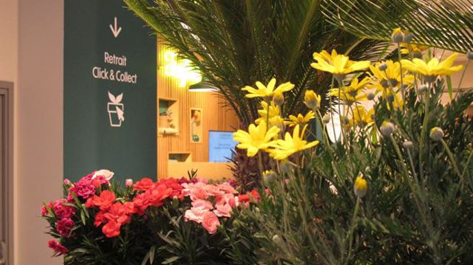 ©P.Fayolle Tous les services proposés aujourd'hui par l'enseigne sont proposés à Toulouse, service de livraison à domicile express en deux heures, ou le click & collect, qui permet au jardinier de retirer ses achats web en magasin. 