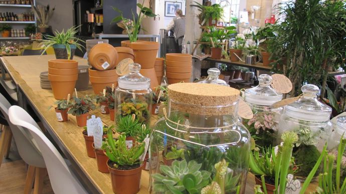 Les terrariums, stars incontournables du moment, occupent une large place du magasin. ©P.Fayolle