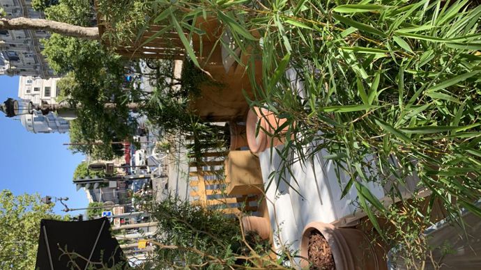 11.Le jardin zen. ©C. Bias