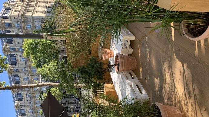 12.Le zen est une tendance recherchée également, et particulièrement importante sur une avenue dont le principal handicap aujourd’hui est d’être extrêmement fréquentée… par les voitures ! ©C. Bias