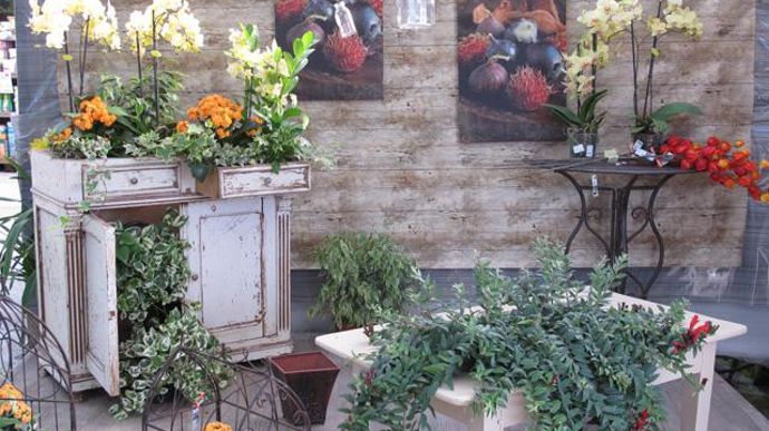 © Valérie Vidril Les décors imaginés mettent en valeur les plantes. 