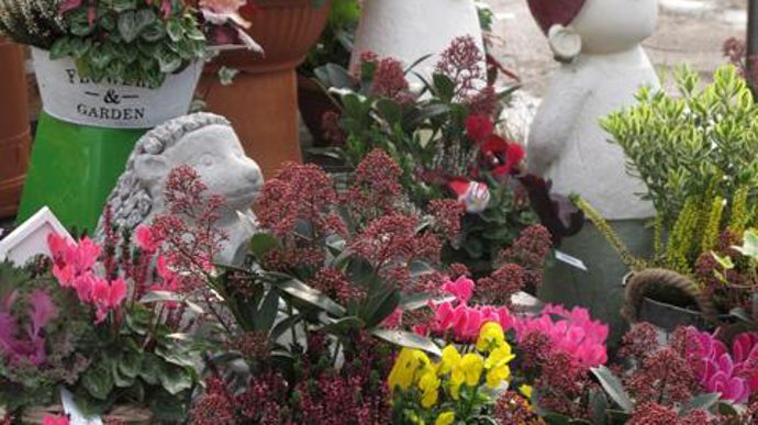 © Valérie Vidril Les compositions ont beaucoup de succès. 