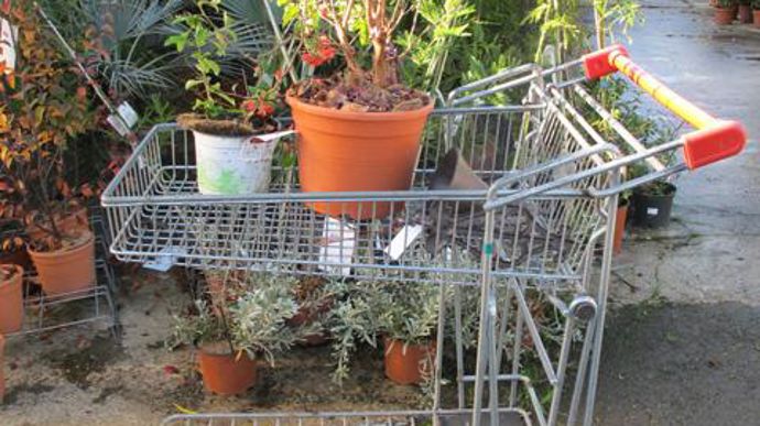 © Valérie Vidril Les chariots, peu profonds, facilitent également les manipulations en caisse. 