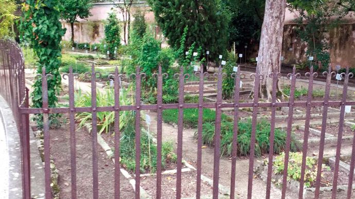 Au départ créé pour la culture de plantes médicinales … ©Léna Hespel