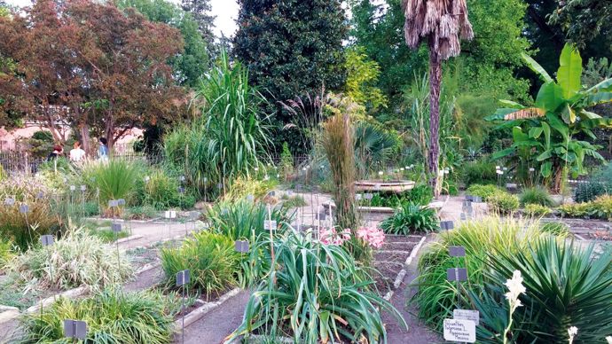 … il fut rapidement enrichi par les plantes du monde entier, dont de nombreuses plantes exotiques. ©Léna Hespel