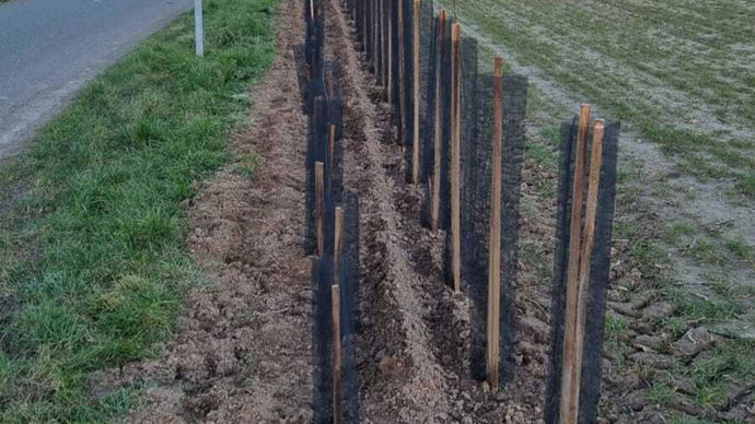 Une fois plantés, les arbustes sont soutenus par deux tuteurs et entourés d’une protection biodégradable.