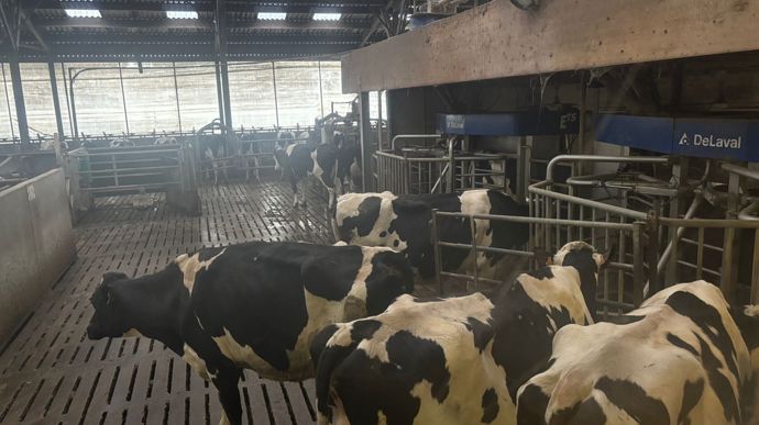 Les deux robots de traite DeLaval ont été installés en 2021. Ils seront remplacés par deux robots DeLaval dernière génération au mois d'avril 2026.