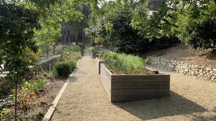 L’accueil à Château Capitoul se fait avec des bacs permettant la culture de légumes utilisés par le restaurant local.