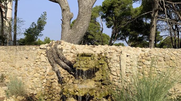 Une cascade apporte un peu de fraîcheur sur le parking du site.