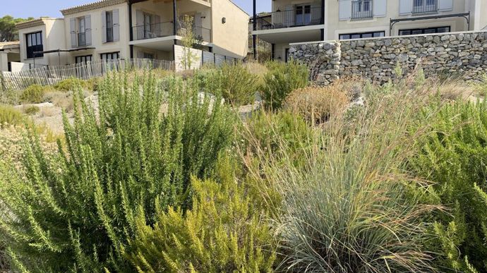 La végétation a été choisie pour résister aux conditions locales, particulièrement difficiles.