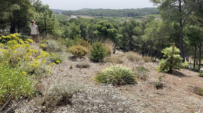 Dans ce jardin soumis à la sécheresse, à la chaleur et au vent, seules les plantes les plus résistantes ont pu survivre.