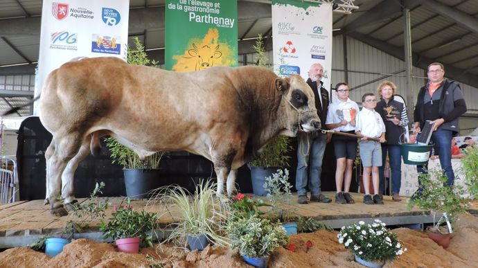 Octobre, déjà connu des concours, remporte le grand prix de champion en taureau adulte.