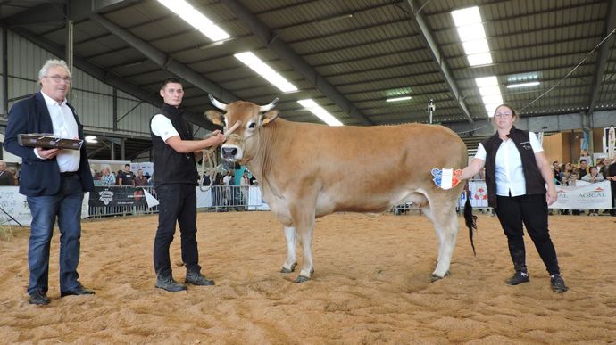Paprika décroche le titre de championne vache gestante.