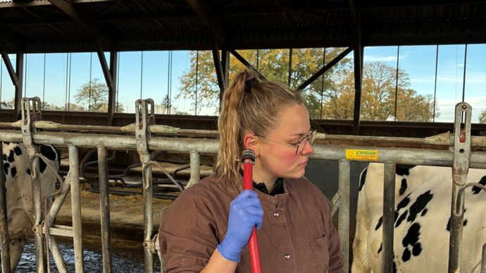 Photo 8 : "glouglou" du rumen.