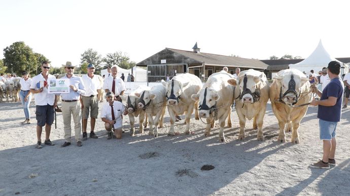 Vincent Corneloup, originaire de l'Allier, remporte le prix d'ensemble du concours national charolais de 2023.