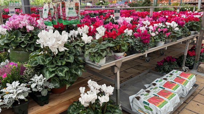 Des produits complémentaires sont exposés au milieu des plantes et suscitent les achats d'impulsion.