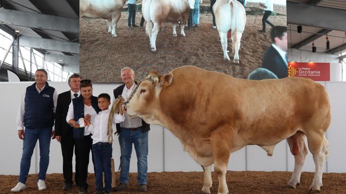 Prince remporte le prix de champion mâle adulte. Il appartient au Gaec des Jacquards.