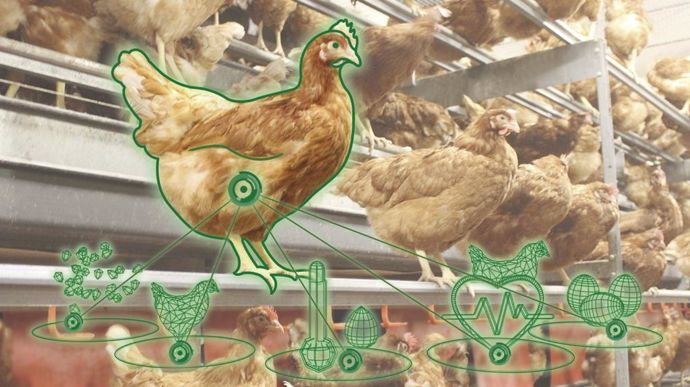 Vencomatic remporte une autre distinction pour Meggsius Family, un dispositif d’automatisation de la collecte des œufs avec exploitations des données recueillies. Le triage est régulier sur toute la durée de la bande et permet d’augmenter la qualité des œufs. Le gain de temps dû à l’avancée automatique des bandes à œufs et des convoyeurs (Meggsius Count & Control) permettent de baisser de 25 % le besoin de main-d’œuvre sur la salle de ramassage. L’ensemble des données collectées aident l’éleveur dans sa gestion des animaux.