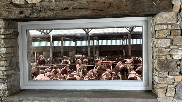 Guillaume a même fait son bureau avec vue sur vaches.