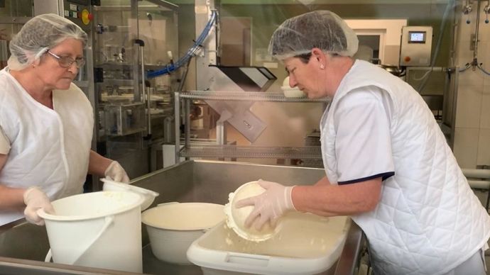 Trop petite pour être collectée, la ferme de la famille Kocsis a dû mettre en place sa propre laiterie pour valoriser le lait de ses 50 Jersiaises.