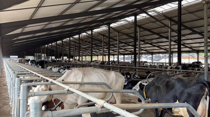La stabulation est équipée de logettes creuses et aires raclées pour le bien-être des vaches. Elle est également dotée d'un séparateur de phase.