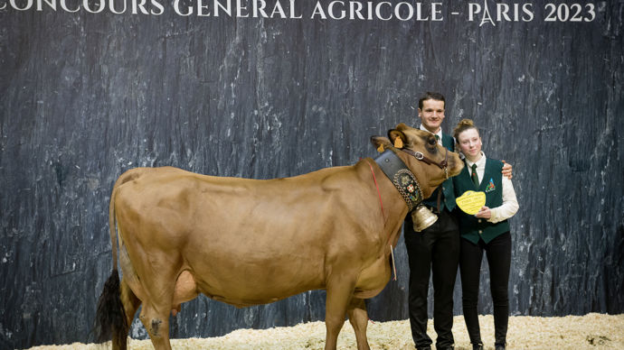 La championne adulte tarentaise, Lorie, s’érige comme le symbole de la longévité de cette race. En cinquième lactation, cette vache savoyarde harmonieuse dispose d’un excellent système mammaire, d’une belle largeur dans son avant-main et d’une bonne profondeur de poitrine. Elle se déplace avec classe.
