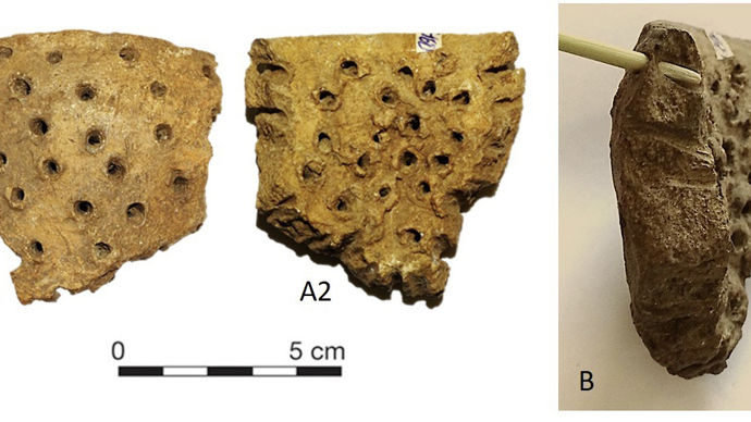 Le lait a aussi été rapidement transformé comme l’atteste la présence des poteries finement perforées, rappelant notre matériel actuel de caillage, datant d’il y a 7 000 ans. La fermentation, faisant diminuer le taux de lactose, rendait le lait globalement plus digeste.