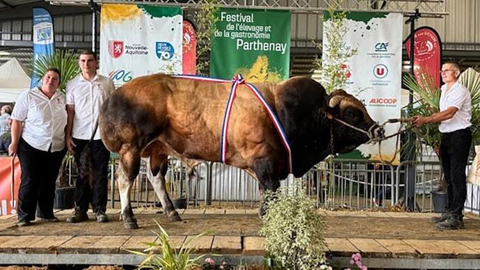 Le titre de champion mâle adulte est attribué à Sardou, au Gaec de l'Éteil (Deux-Sèvres).