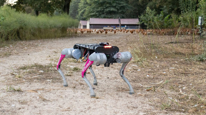 Le jury accorde deux étoiles à Maïsadour pour son E-doggy agri, un chien robot destiné aux élevages de volailles. Développé en collaboration avec Evotech, ce quadrupède autonome permet d’automatiser des tâches chronophages comme la rentrée des poulets dans les poulaillers des élevages de plein air le soir. Équipé d’une intelligence artificielle, le robot détecte les volailles, repère les obstacles et déclenche la fermeture des trappes en fonction de la luminosité et de l’heure du coucher du soleil. Il se recharge sur une station spécifique, et signale les anomalies à l’éleveur.