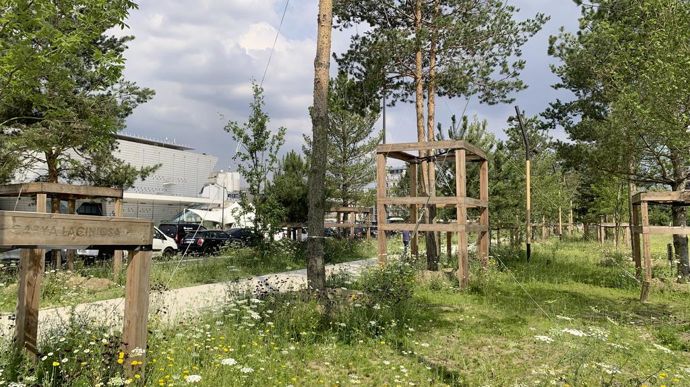 Au square Parodi, les grands arbres plantés sont essentiellement des pins, mais aussi des espèces plus diversifiées, comme Carya laciniosa, ou Acer monspessulanum.